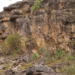 ten_canoes4