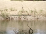 crocc10