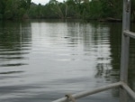 crocc6