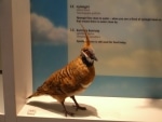 museo_etnografico1
