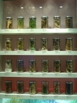 museo_etnografico5