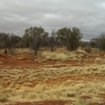 outback10
