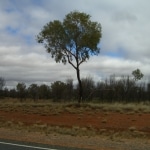 outback13