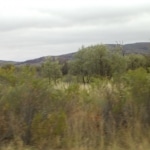 outback5