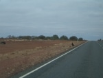 verso_ayers_rock2