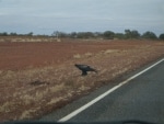 verso_ayers_rock3