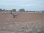 verso_ayers_rock4