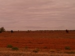 verso_ayers_rock9