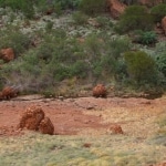 percorsi_tra_i_monti4