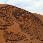 giro_intorno_a_uluru16