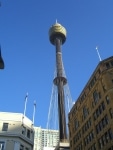 la_torre1
