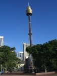 la_torre2