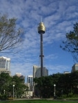 la_torre3