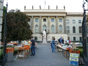 P1020273