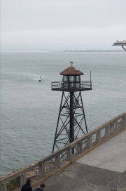 DSC_8635