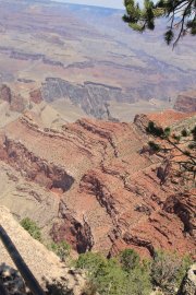 IMG_0448
