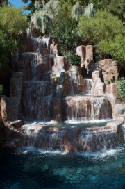 DSC8394