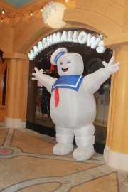 IMG_0143