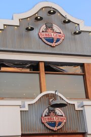 IMG_0164