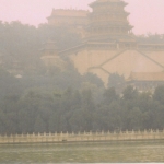palazzod_estate9