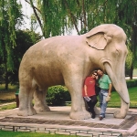 viasacraetombe ming7