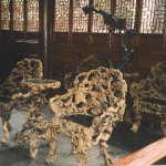 giardino8