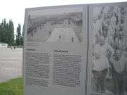 IMGP1487