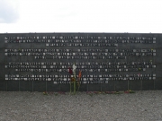 IMGP1491