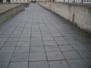 IMGP1493