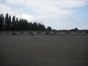 IMGP1498