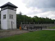 IMGP1506