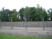 IMGP1513