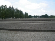 IMGP1522