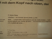 IMGP1538
