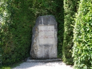 IMGP1551