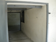 IMGP1555