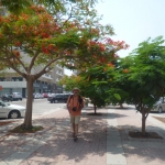 p1040822