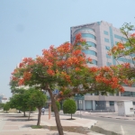 p1040823