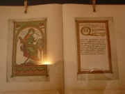 su_e_giu_per_il_castello29