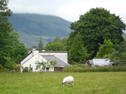 gita_nelle_highlands2