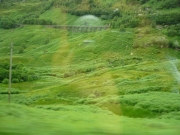 gita_nelle_highlands20