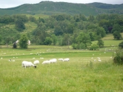 gita_nelle_highlands3