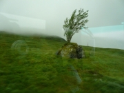 gita_nelle_highlands32