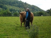 gita_nelle_highlands9