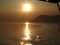 imgp0789