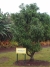 cimg0256
