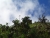 cimg0425