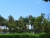 cimg0471