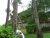 cimg0348