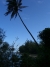 cimg4296_2